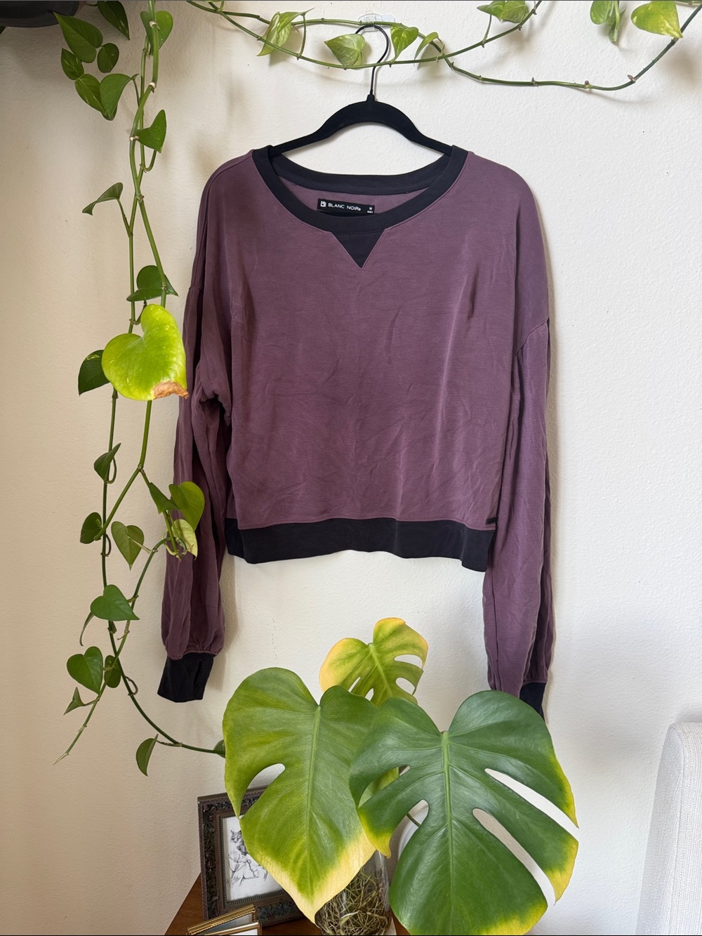 Classic Cropped Long-Sleeve Top